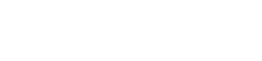 What Is AI N